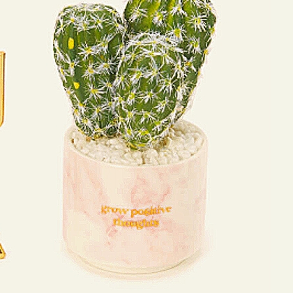 "Grown Positive thoughts"pink marble theme 🌵